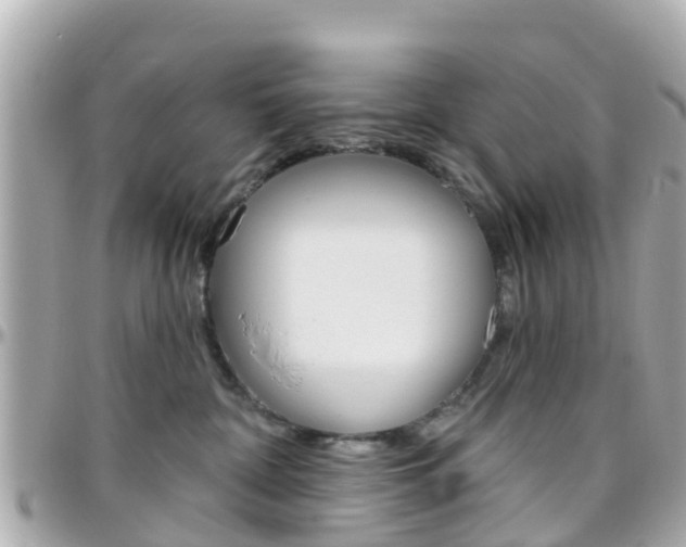 X0000096450332200801241145