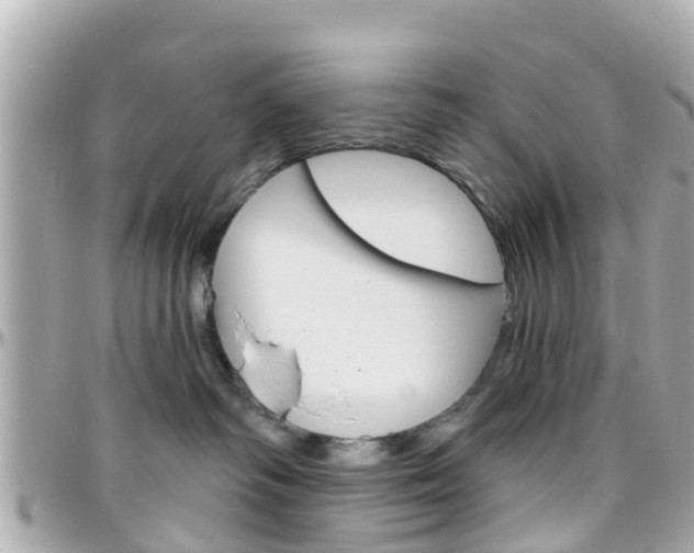 X0000096450334200801241145