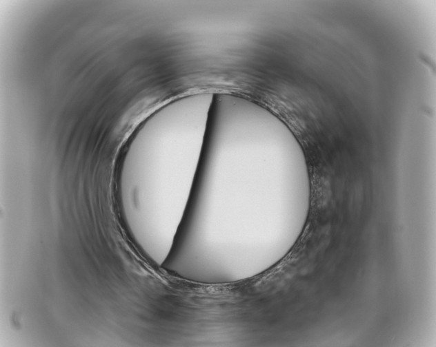 X0000096450338200801241145