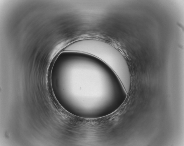 X0000096450340200801241145
