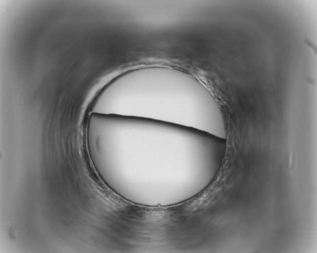 X0000096450342200801241145