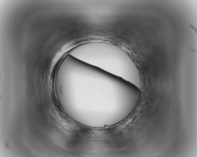 X0000096450343200801241145