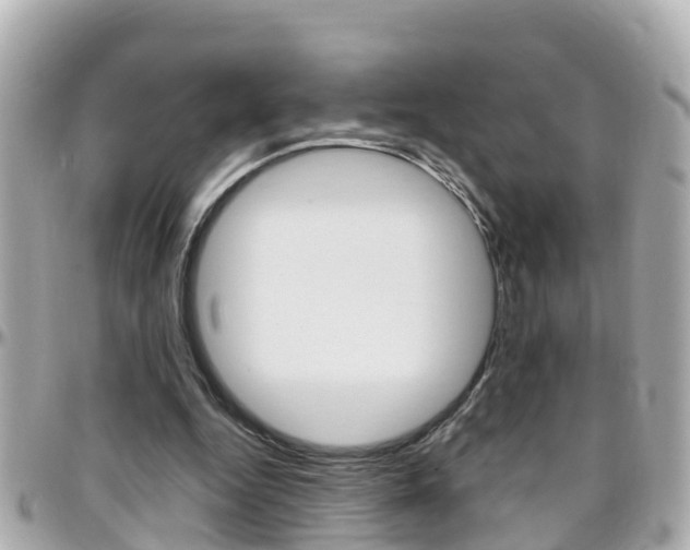 X0000096450344200801241145