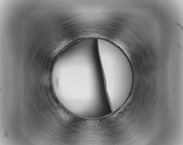 X0000096450345200801241145