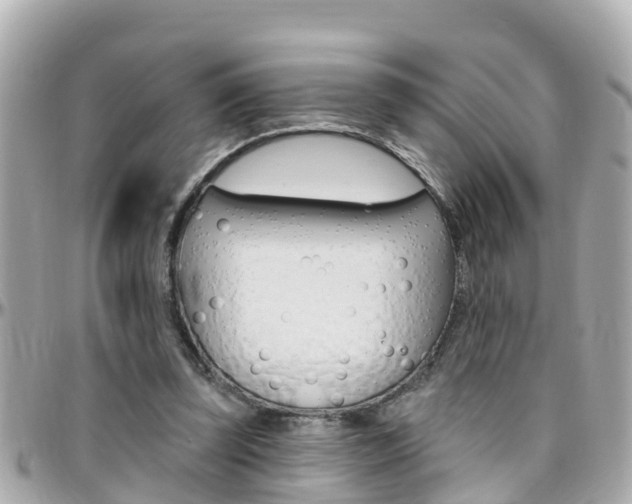 X0000096450347200801241145