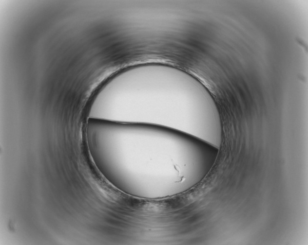 X0000096450350200801241145