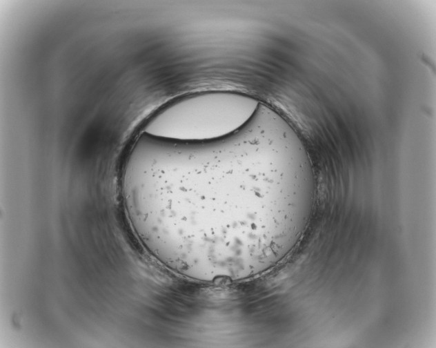 X0000096450351200801241145