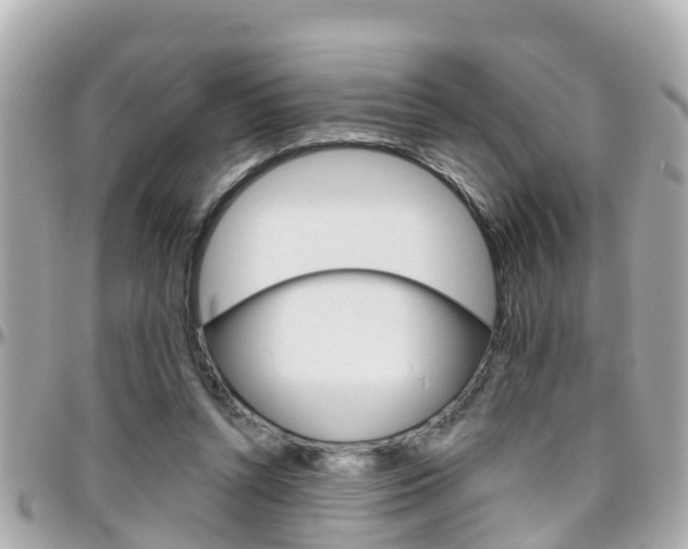 X0000096450352200801241145