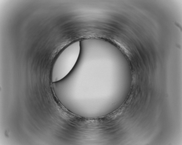 X0000096450353200801241145