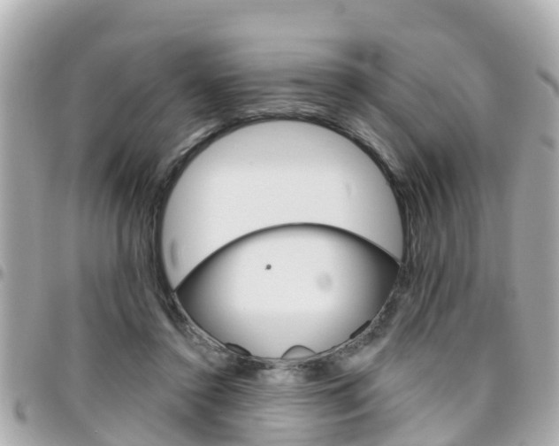 X0000096450356200801241145