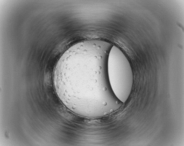 X0000096450359200801241145