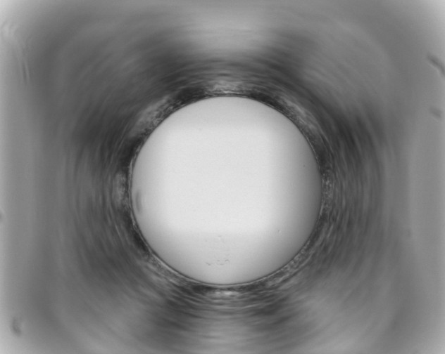 X0000096450361200801241145