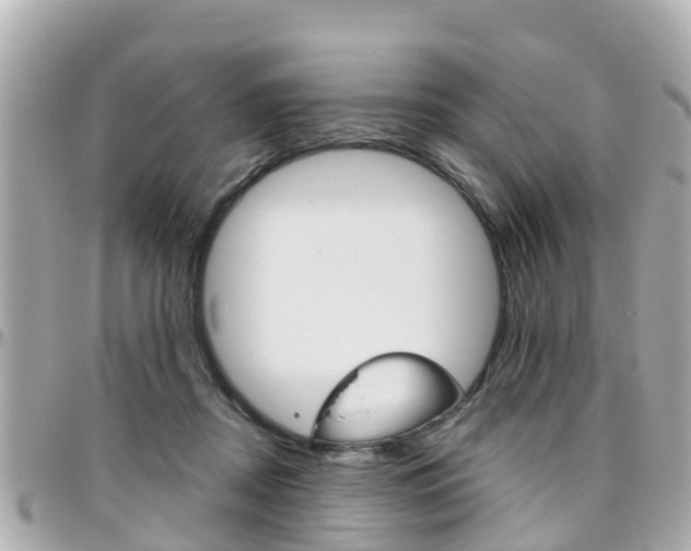 X0000096450362200801241145