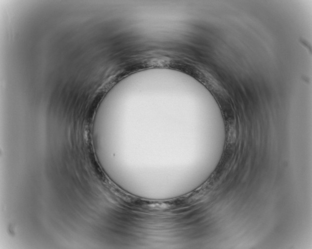 X0000096450363200801241145