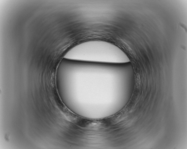 X0000096450364200801241145