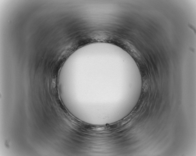 X0000096450365200801241145