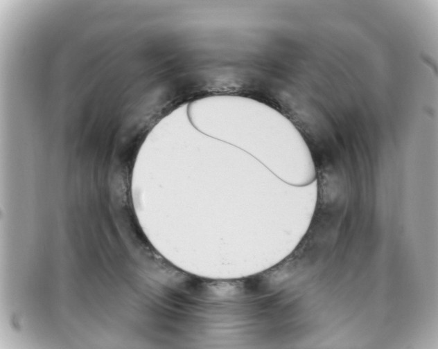 X0000096450370200801241145