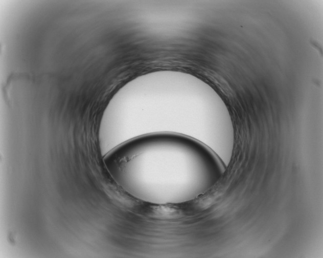 X0000096450380200801241145