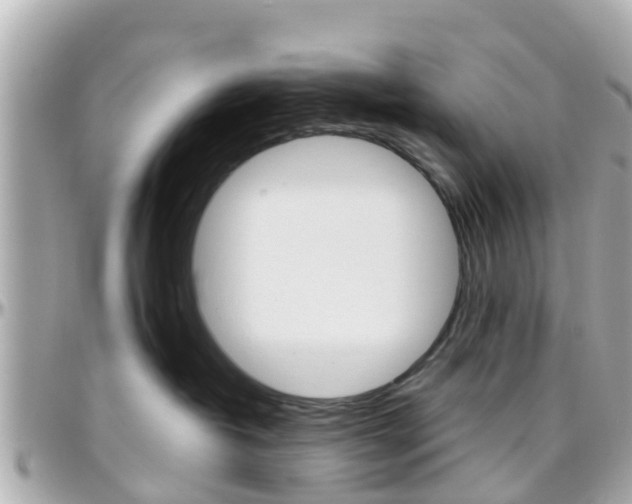 X0000096450382200801241145