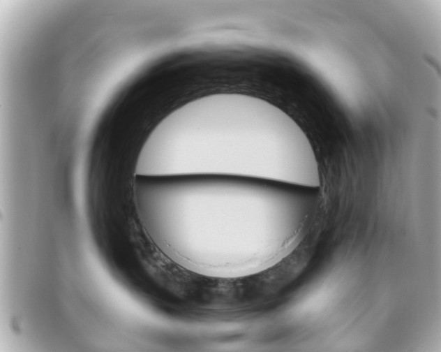 X0000096450383200801241145