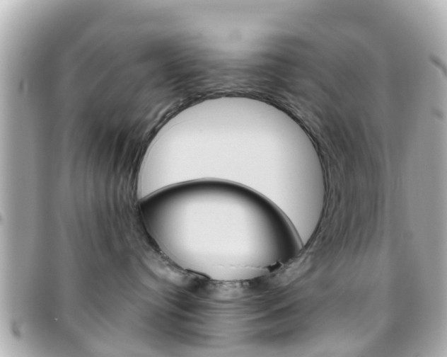 X0000096450384200801241145