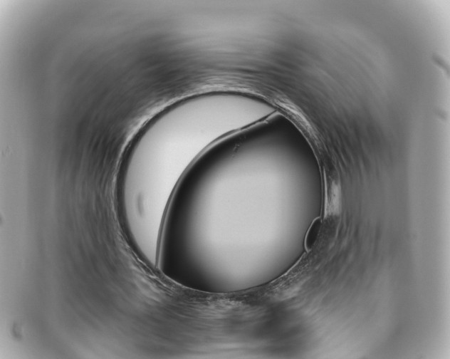 X0000096450387200801241145