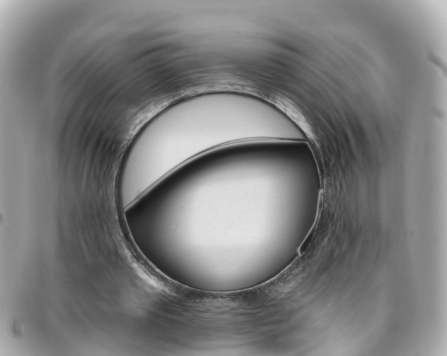 X0000096450389200801241145