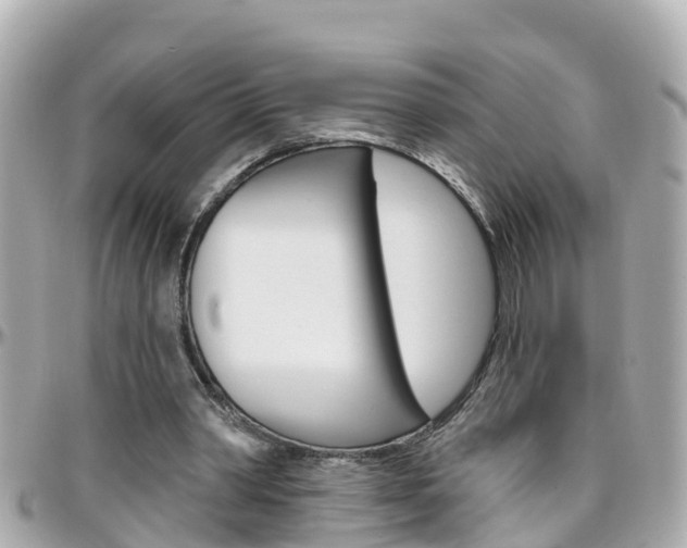 X0000096450390200801241145