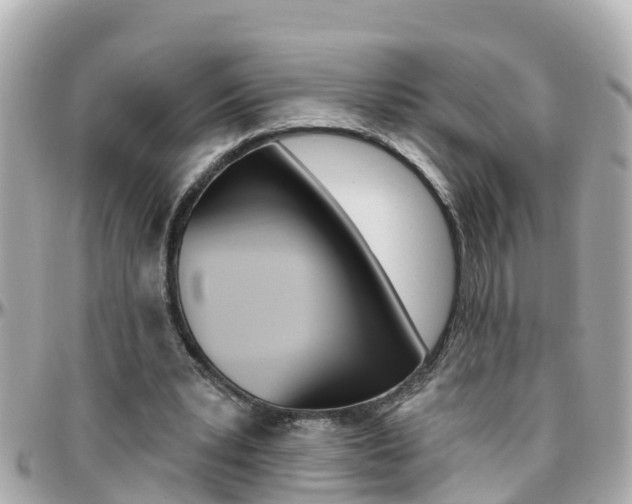 X0000096450391200801241145
