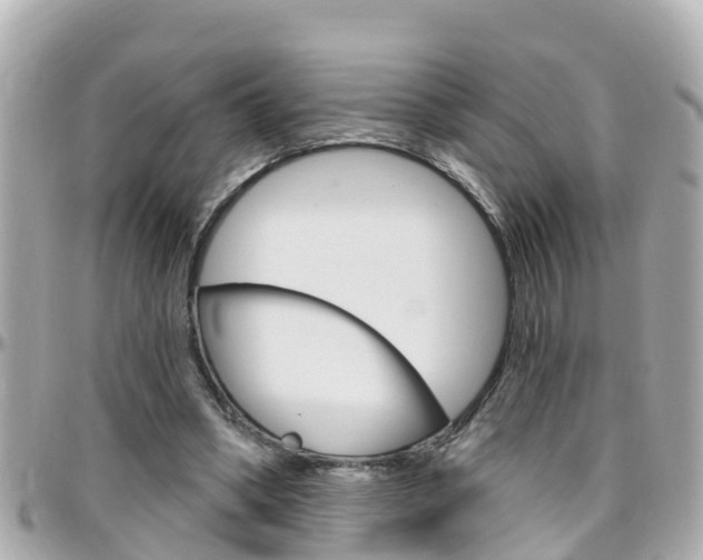 X0000096450394200801241145