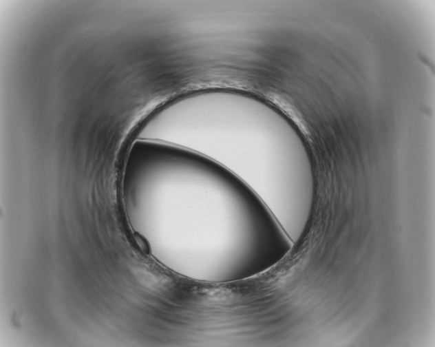 X0000096450395200801241145
