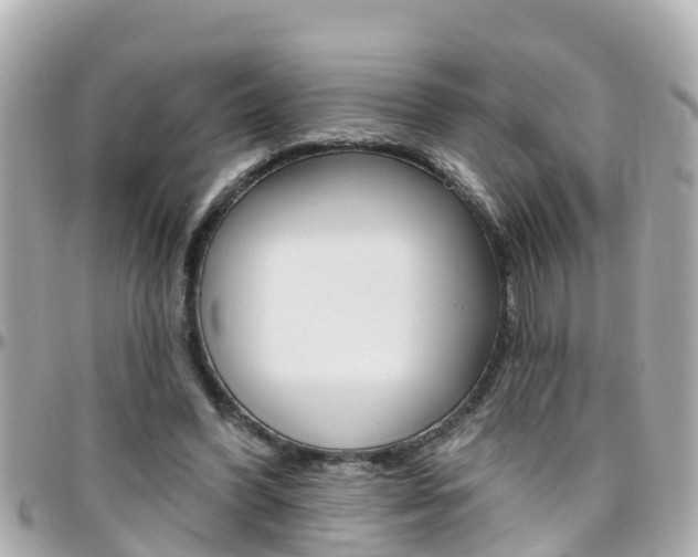 X0000096450396200801241144