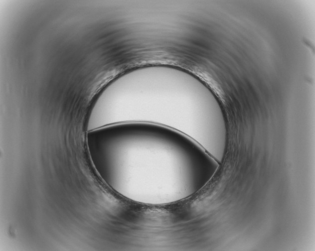 X0000096450397200801241144