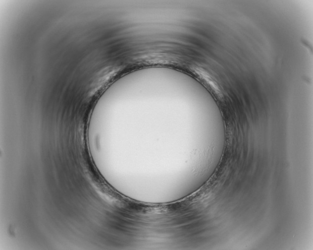 X0000096450398200801241144