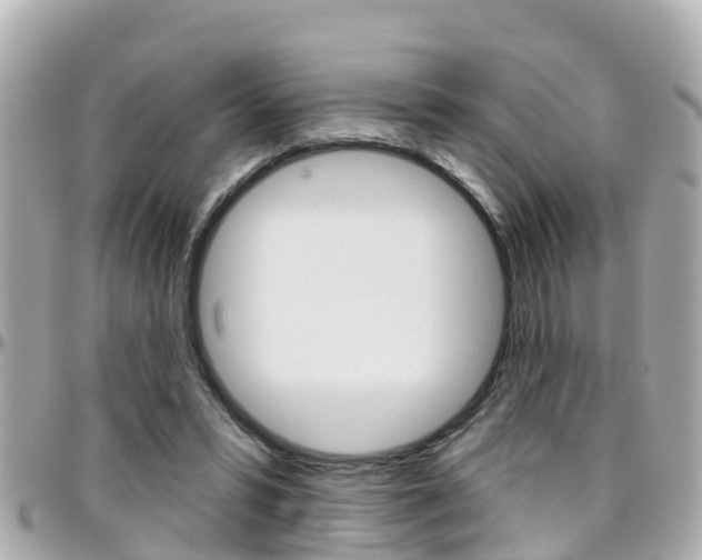 X0000096450399200801241144
