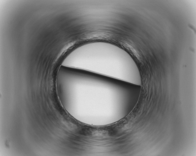 X0000096450400200801241144