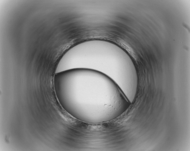 X0000096450401200801241144