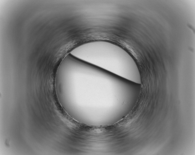 X0000096450402200801241144