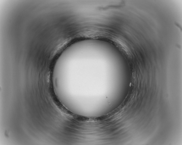 X0000096450404200801241144
