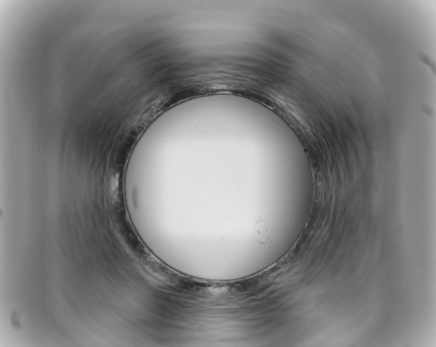 X0000096450406200801241144