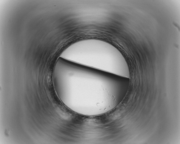 X0000096450408200801241144