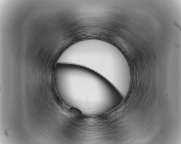 X0000096450412200801241144