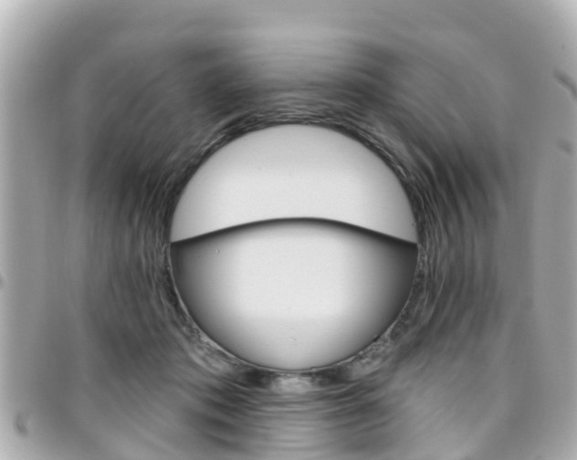 X0000096450413200801241144