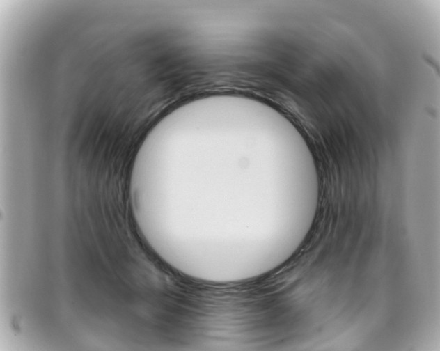 X0000096450415200801241144