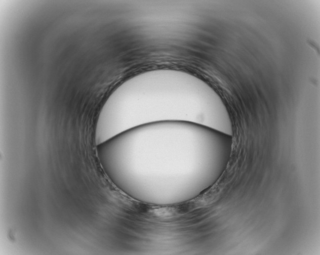 X0000096450417200801241144