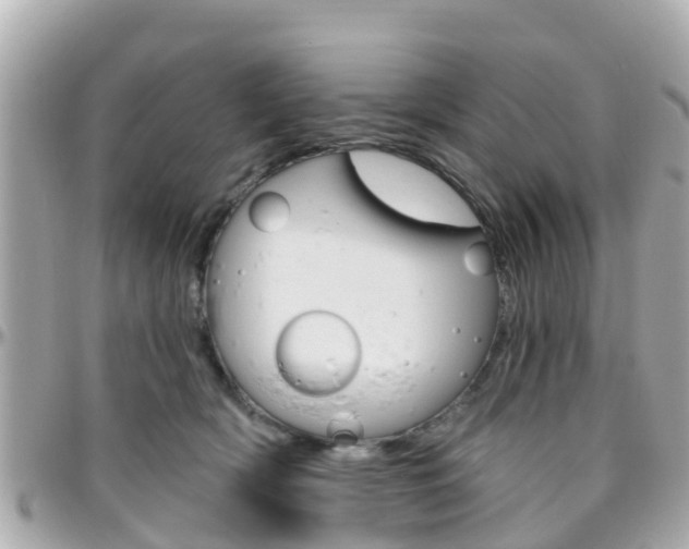X0000096450418200801241144
