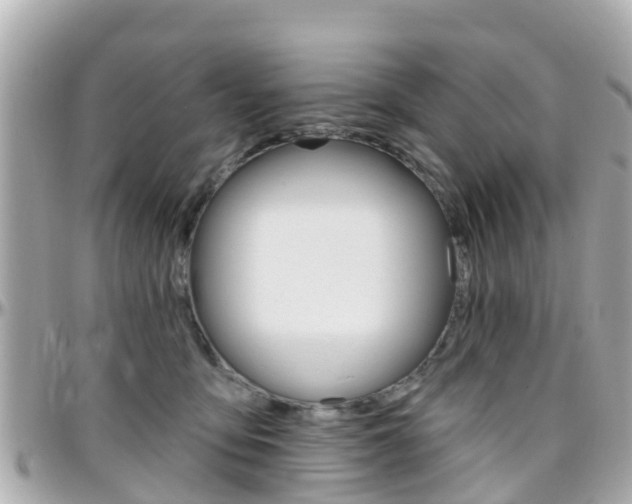 X0000096450419200801241144