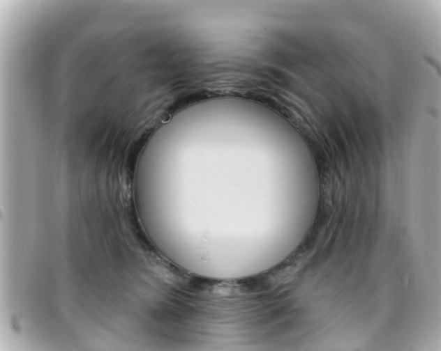 X0000096450420200801241144