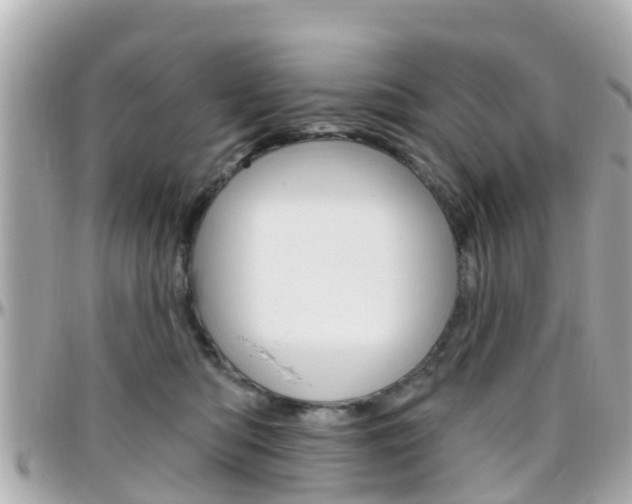 X0000096450422200801241144