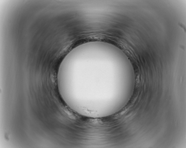 X0000096450424200801241144